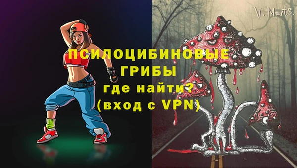 стафф Абинск