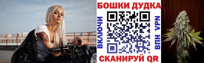 мега   что такое   Щучье  Конопля гибрид 